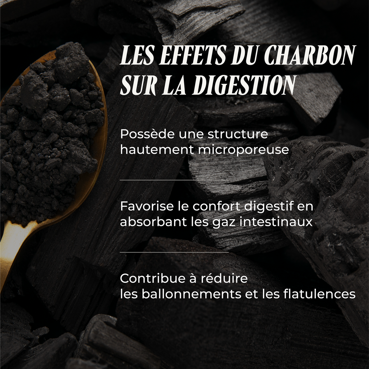 Charbon Max