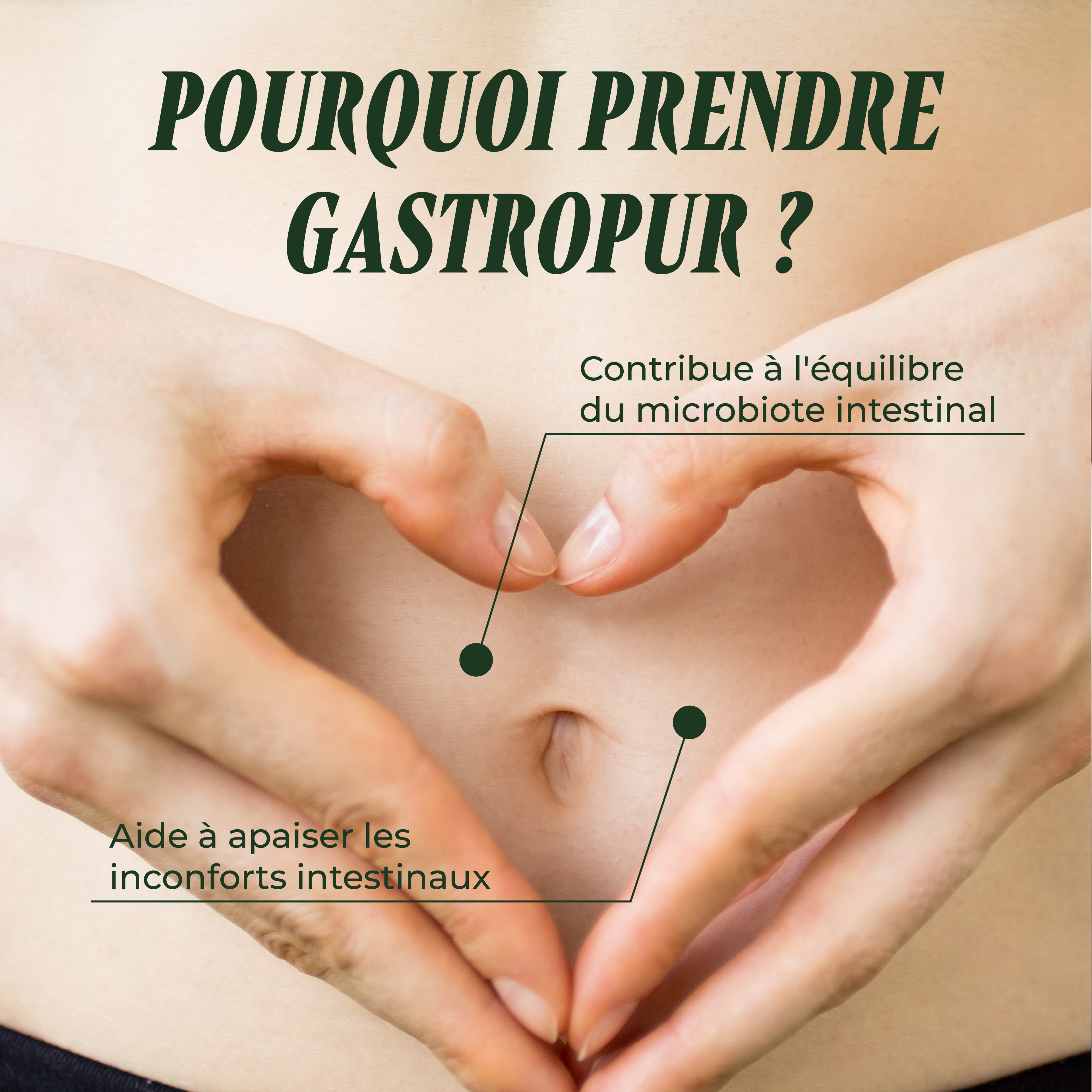 Gastropur ( La digestion )