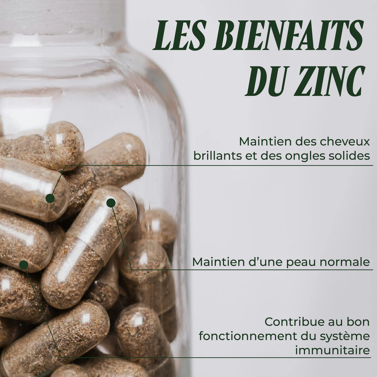 Z Zinc (Skin & Fertility)