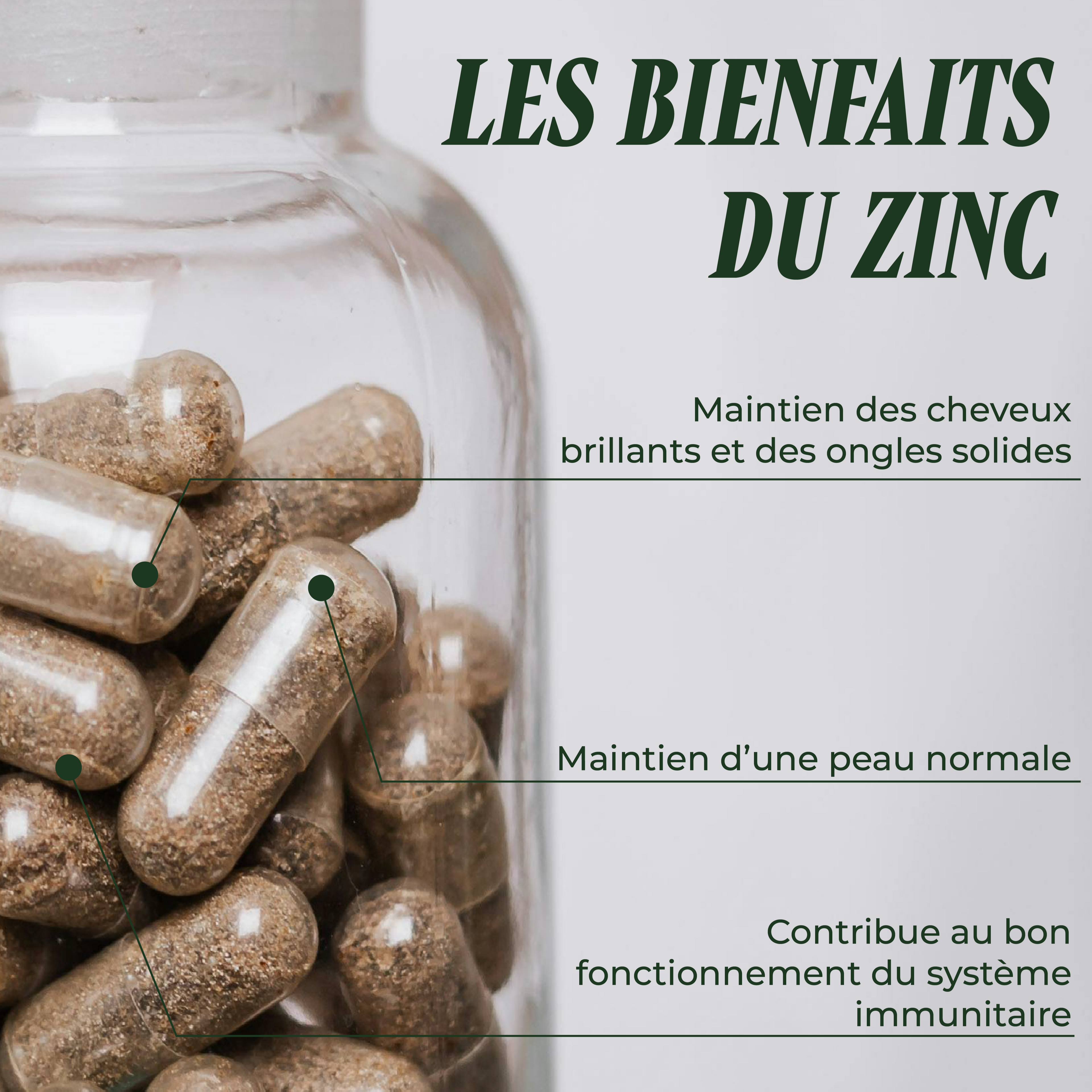 Le Z zinc ( La peau & la fertilité )