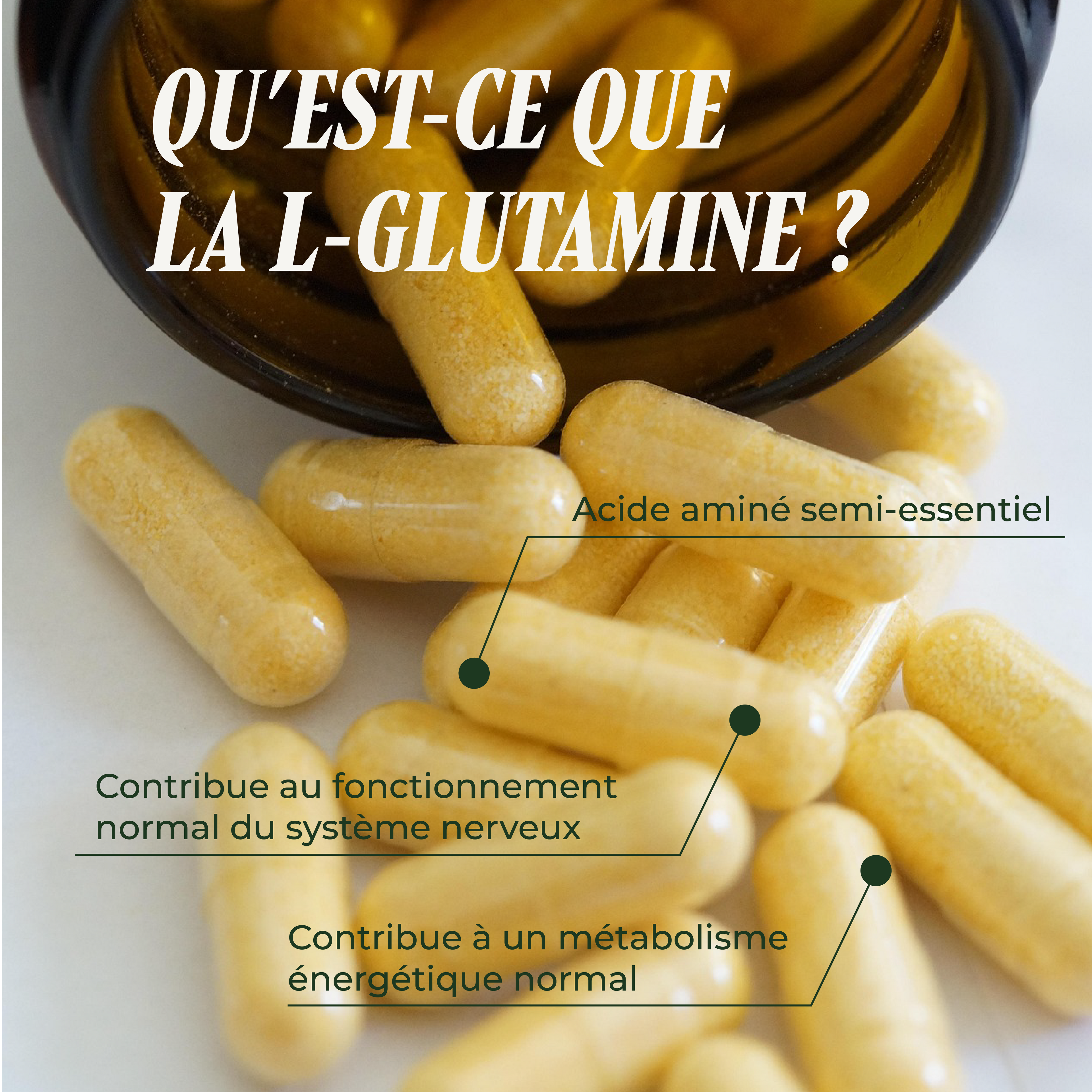L-Gluta ( Micro-nutrition )
