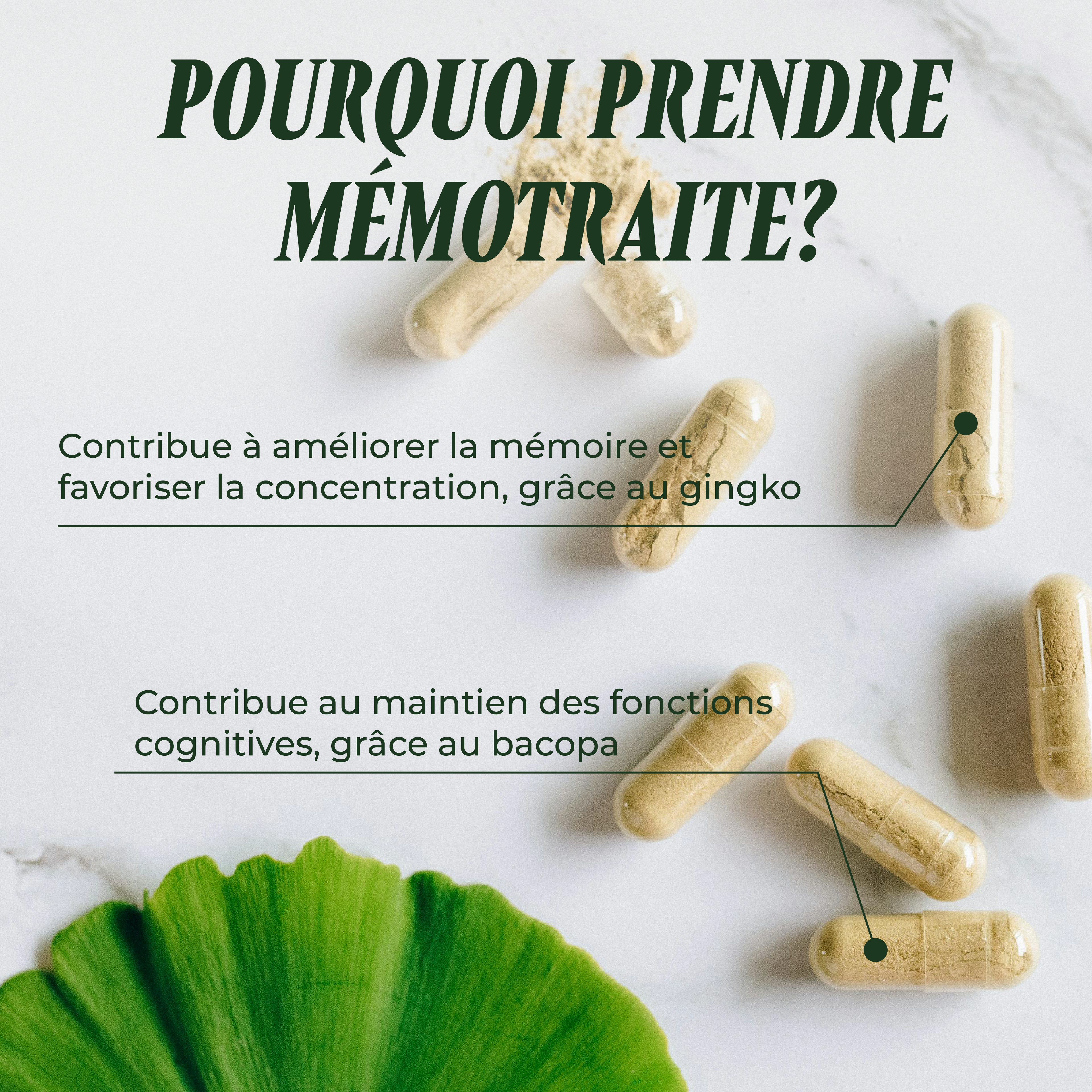 Mémotraite ( La mémoire & les fonctions cognitives )