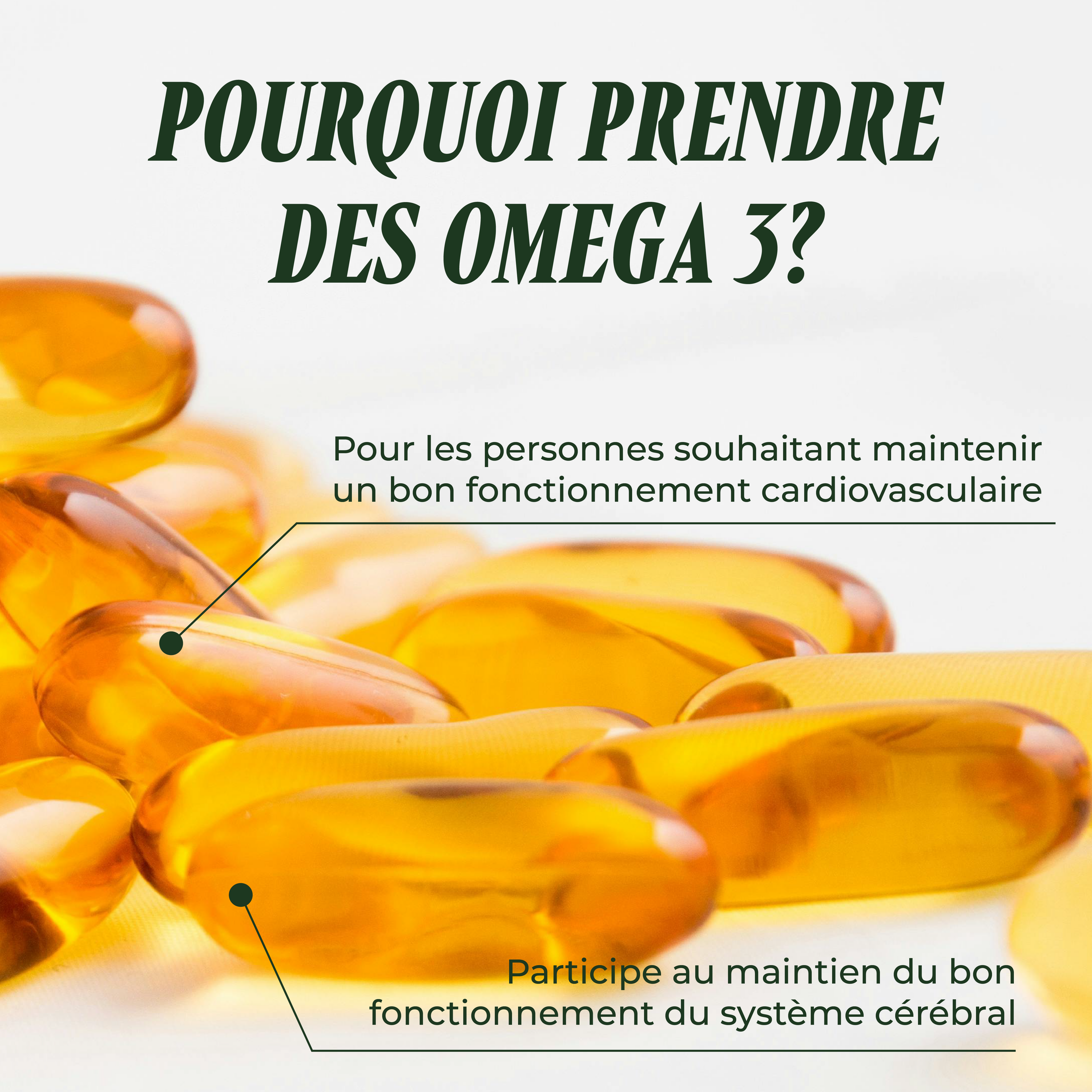 Omega 3 Max ( Santé Cardiovasculaire )