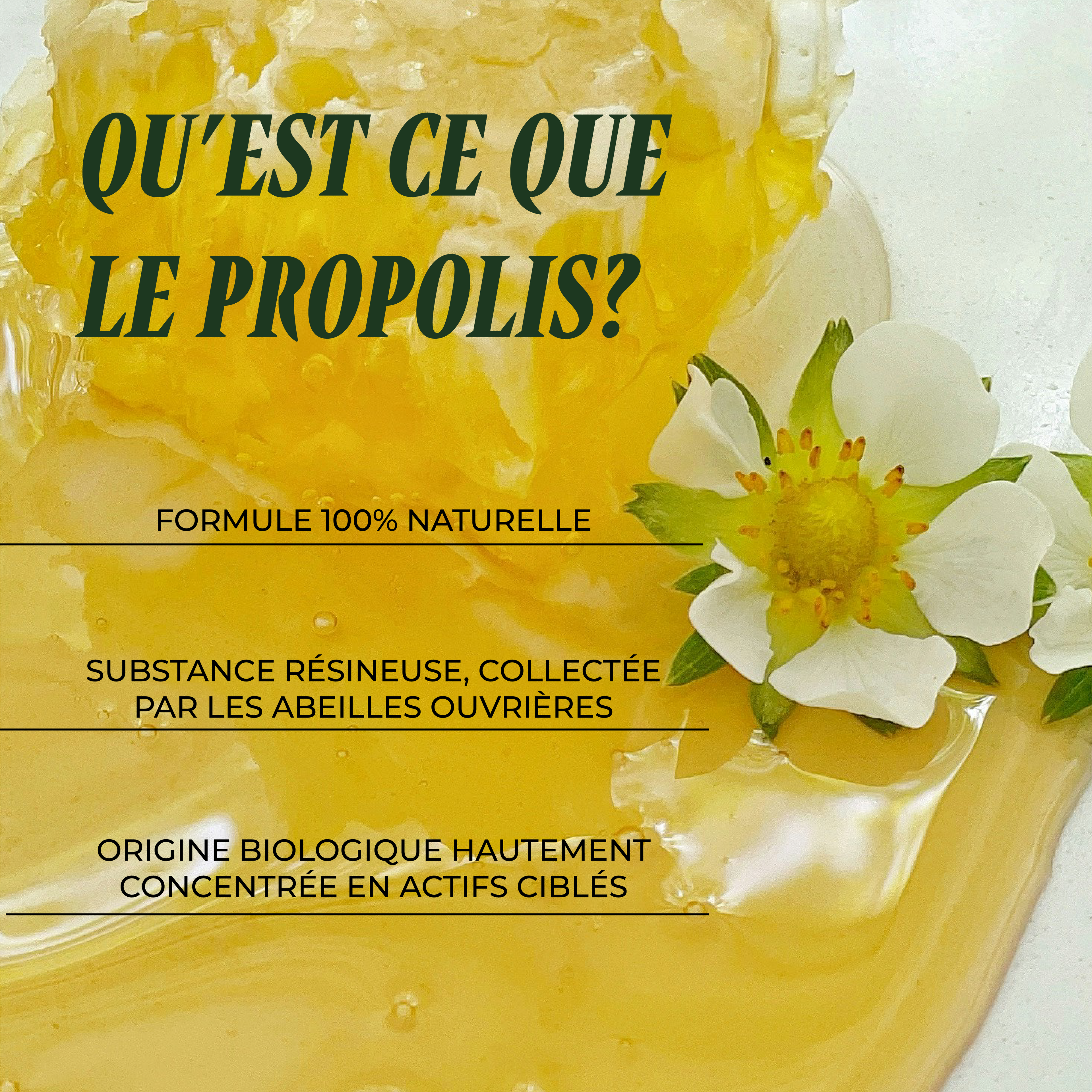 Protective Resin (The phyto-nutritional complex)