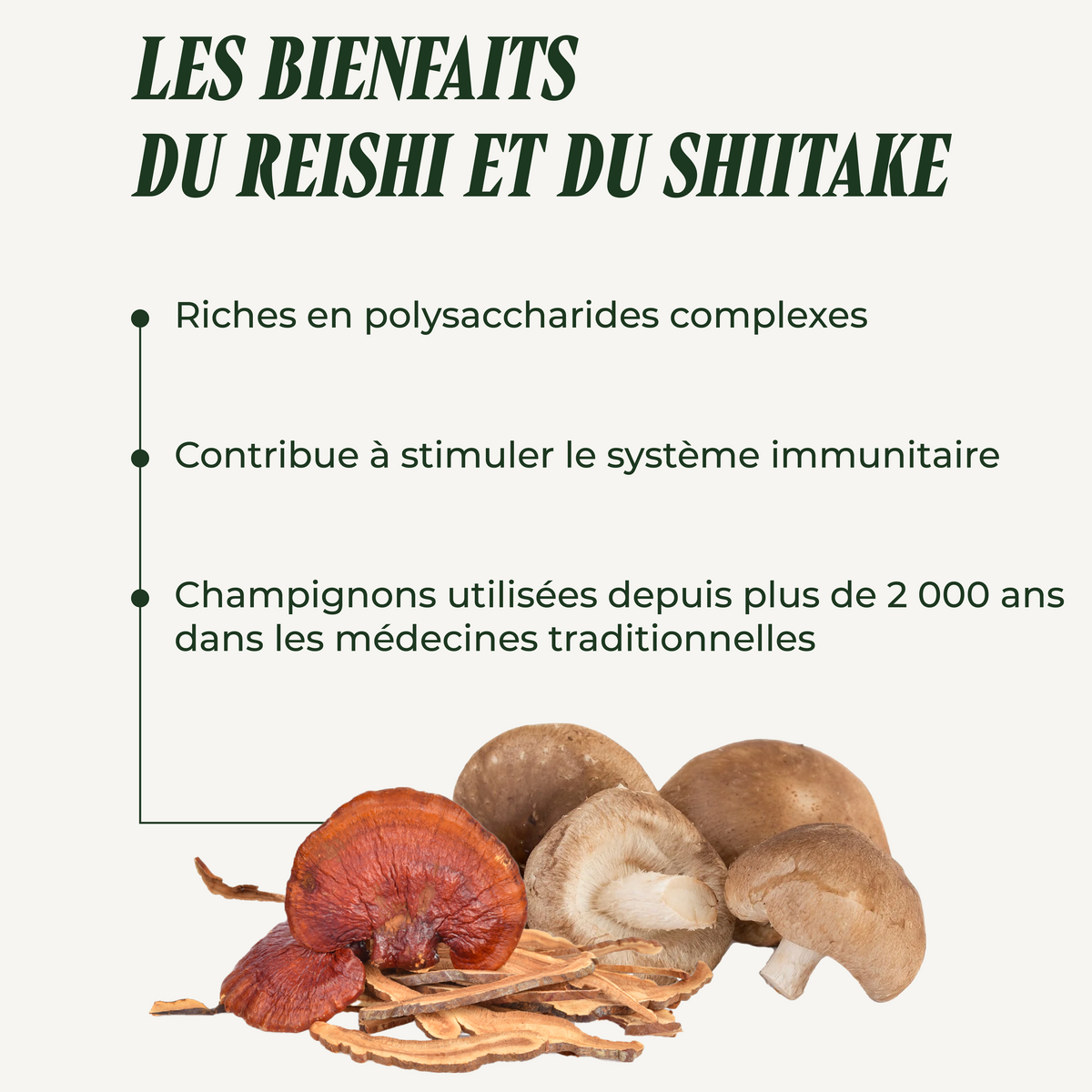 Reishi-Shiitake (Immunity)