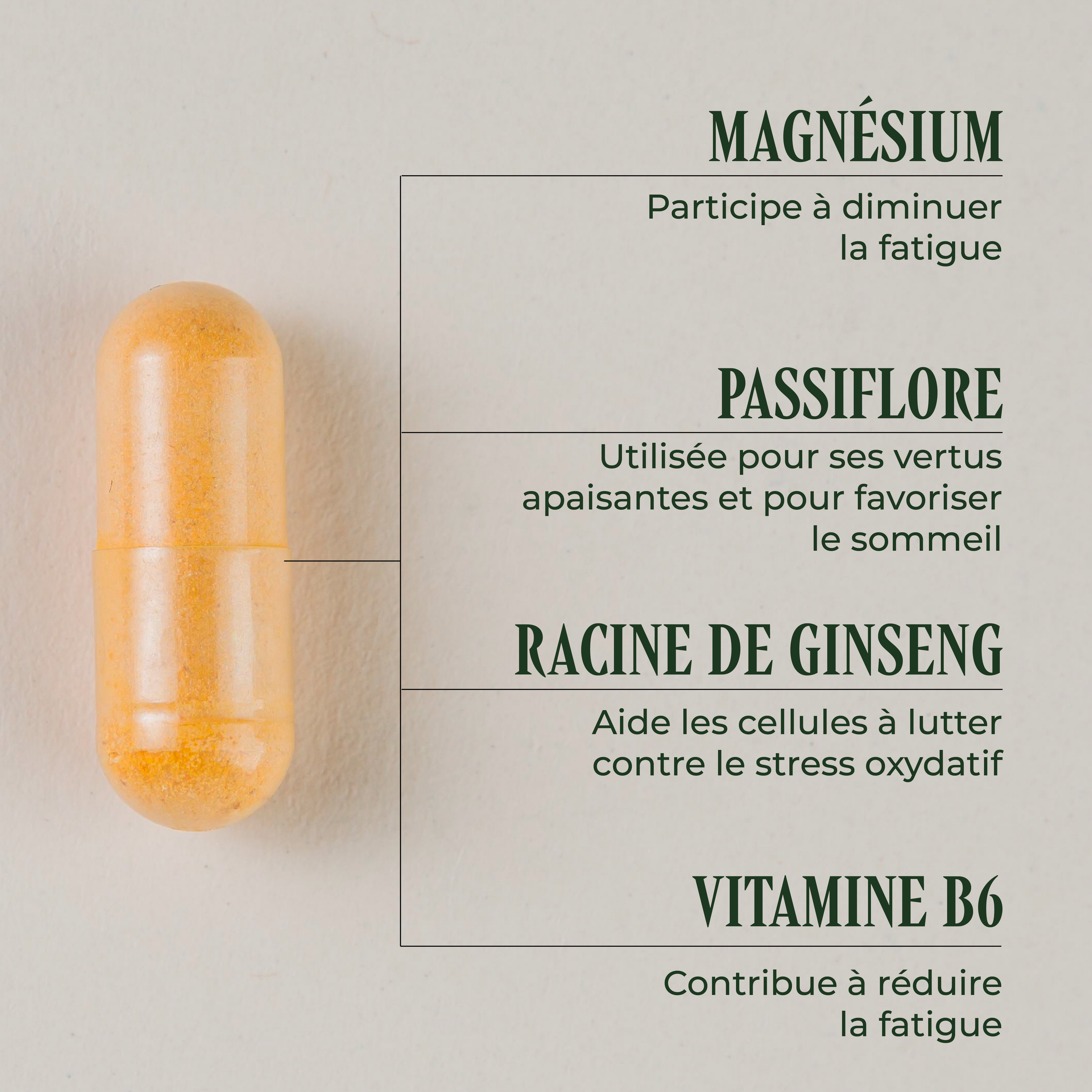 Stop Stress ( La fatigue )
