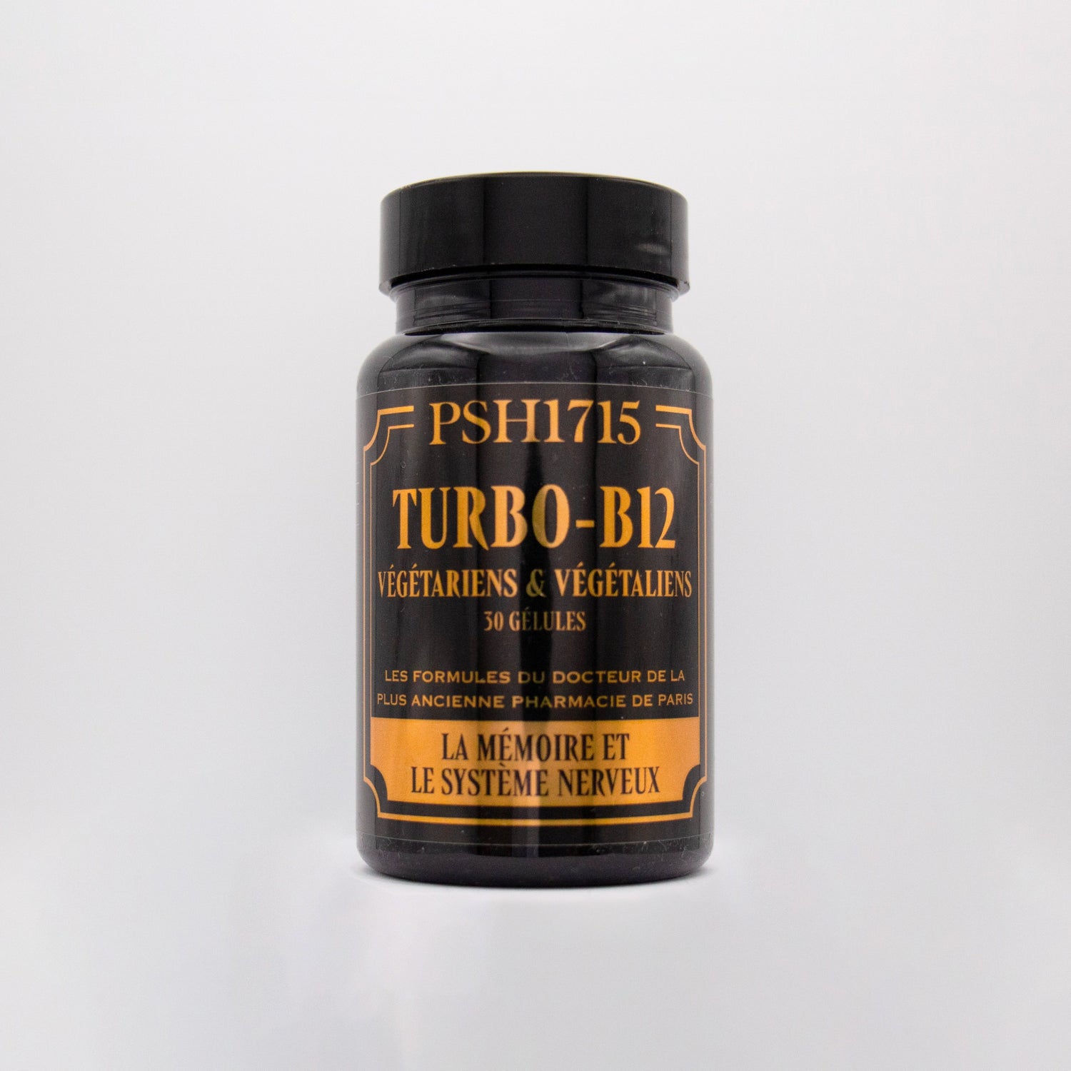 Turbo-B12(記憶與神經系統)