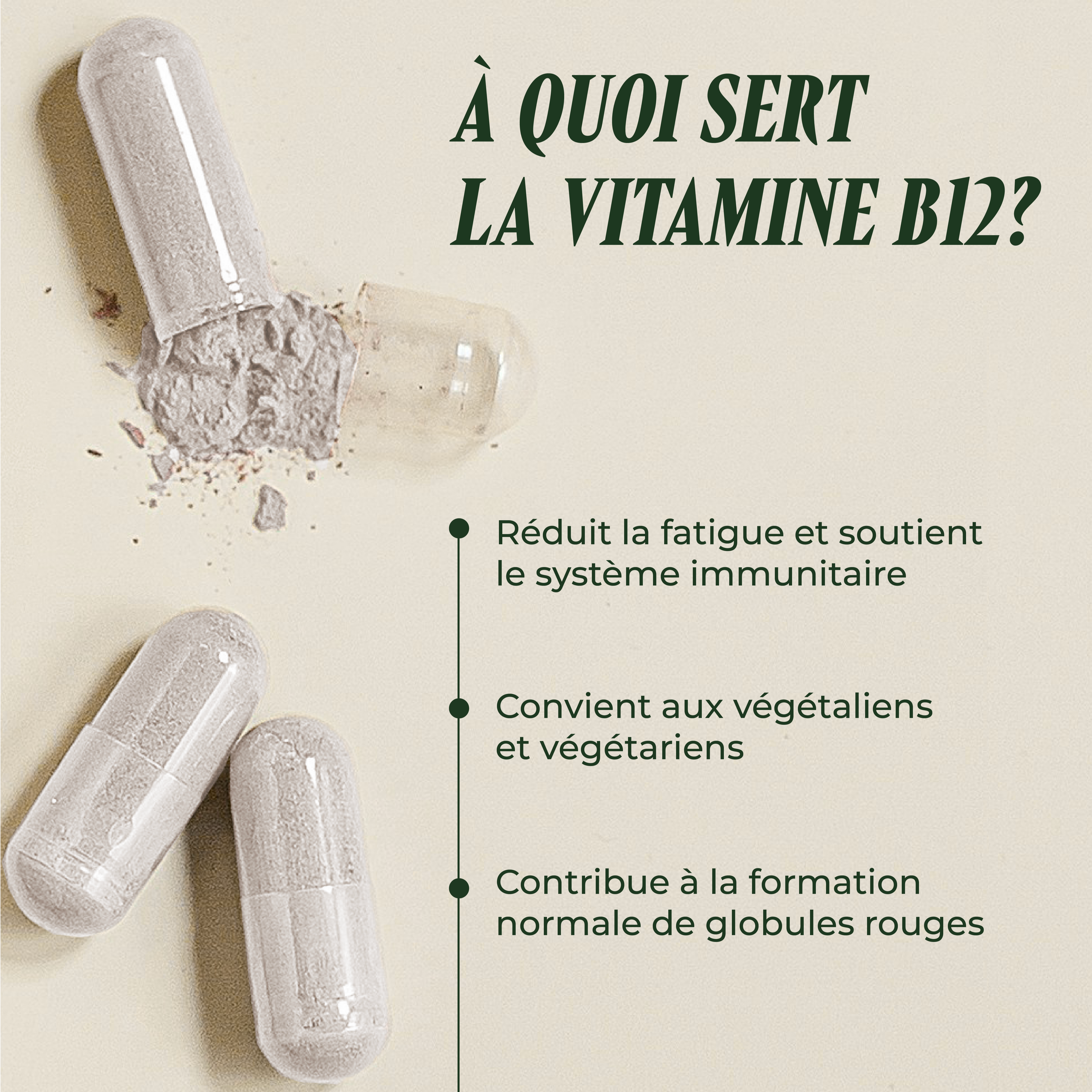 Turbo-B12 ( La mémoire et le système nerveux )