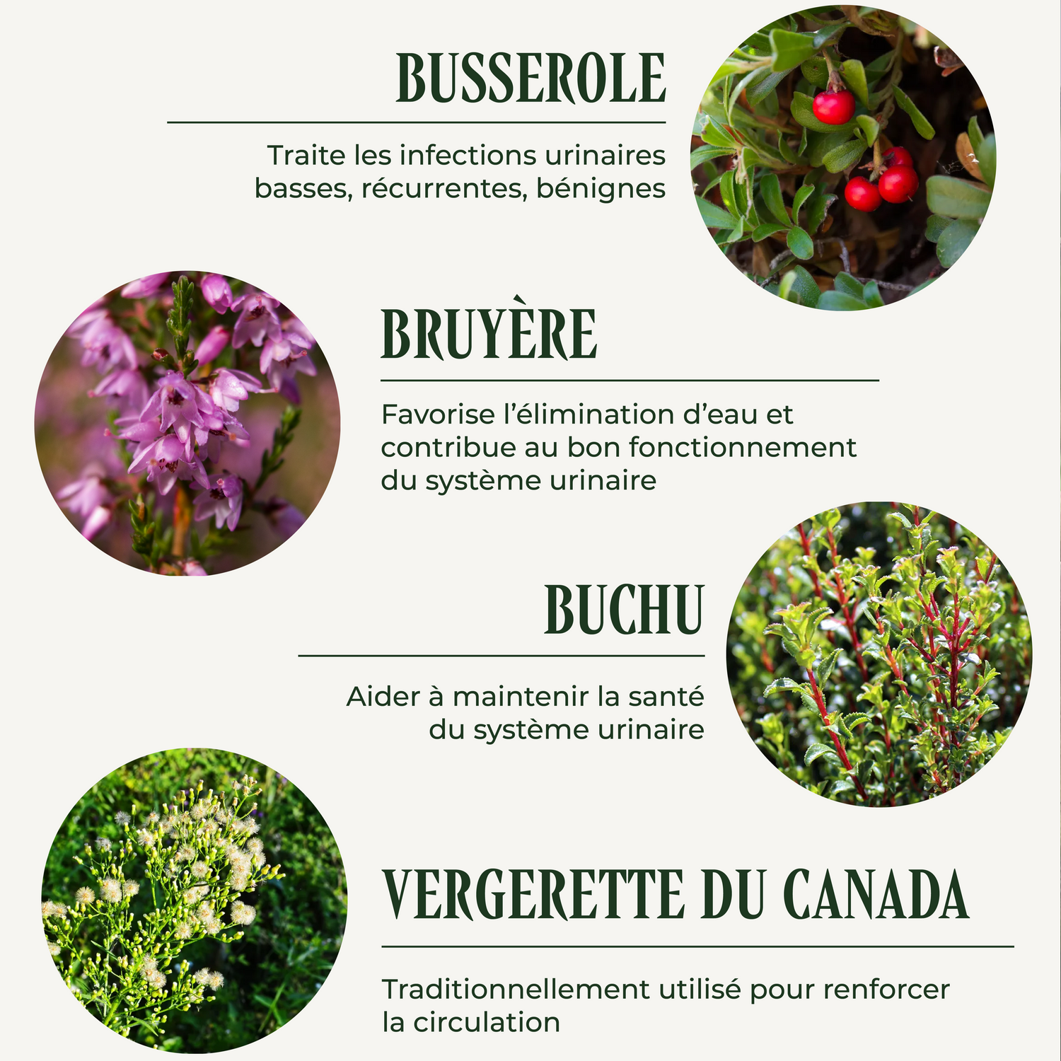 Uri-Clean(泌尿系統)