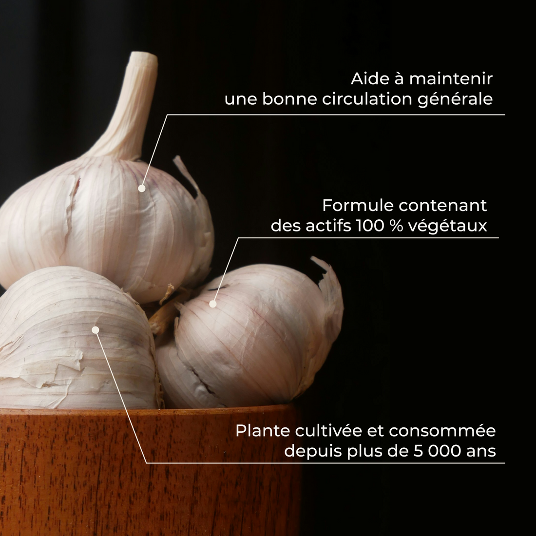 Garlic &amp;amp; its virtues (Cholesterol &amp;amp; cardiovascular system)