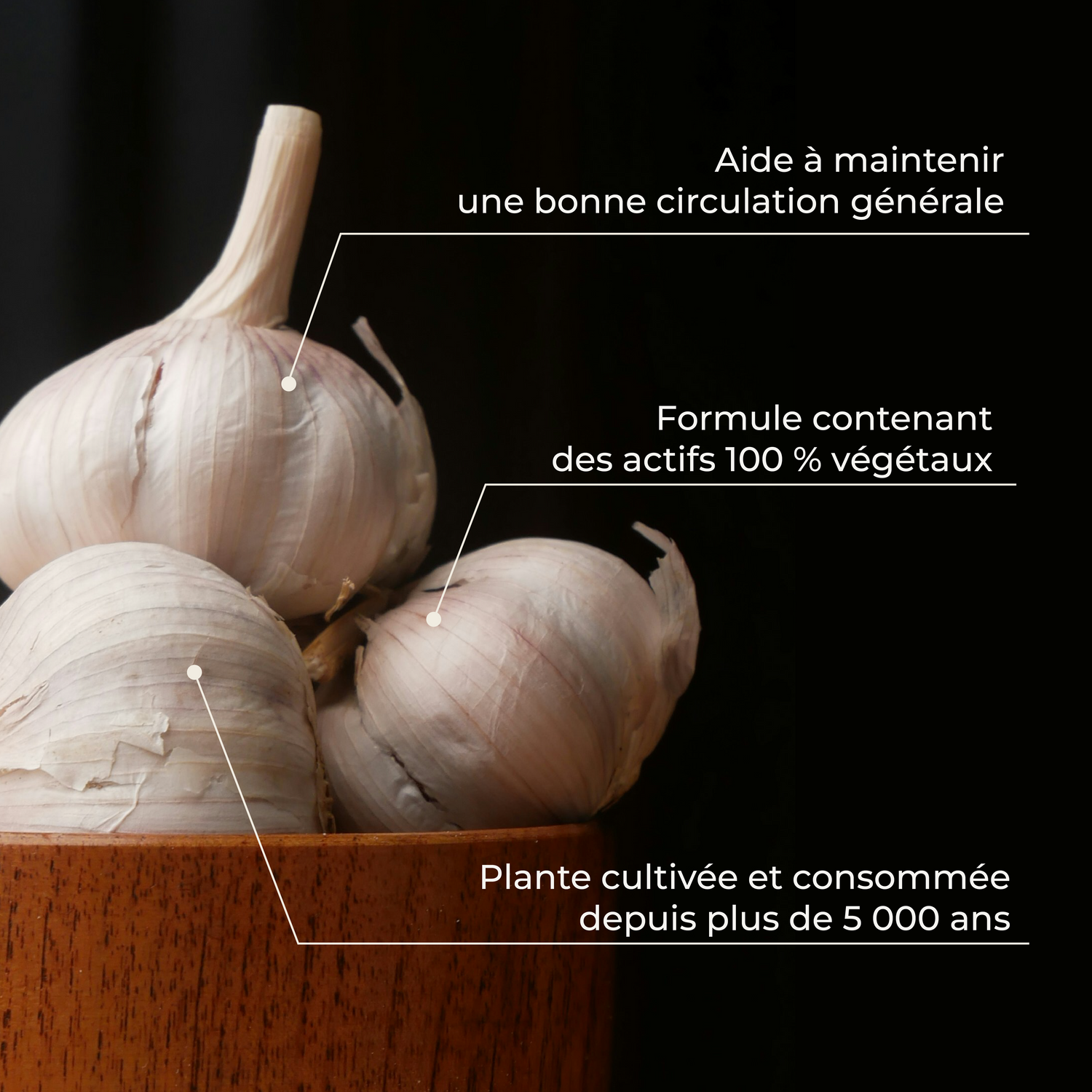 Ail &amp; ses vertus (système vasculaire)