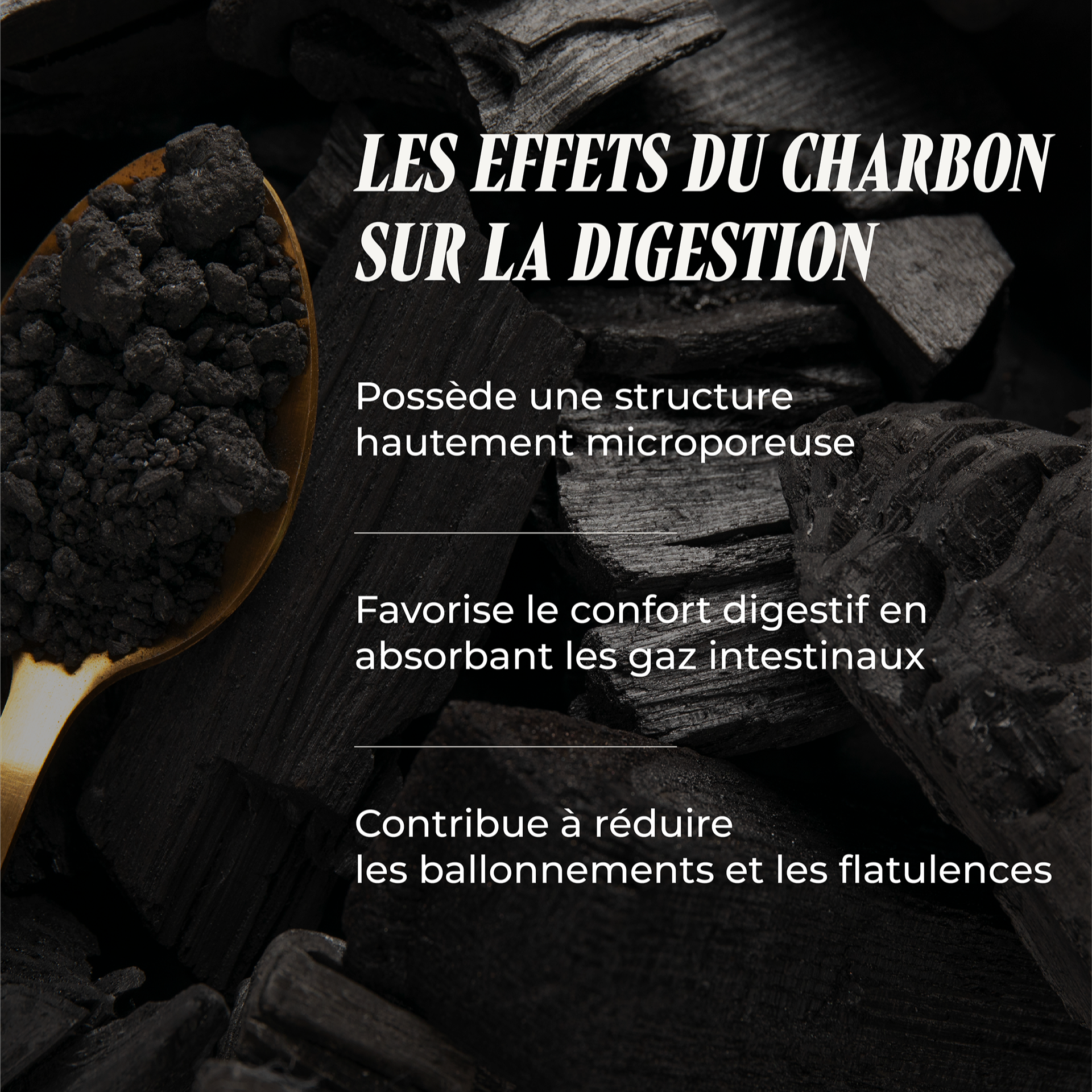 Charbon Max ( La Digestion )