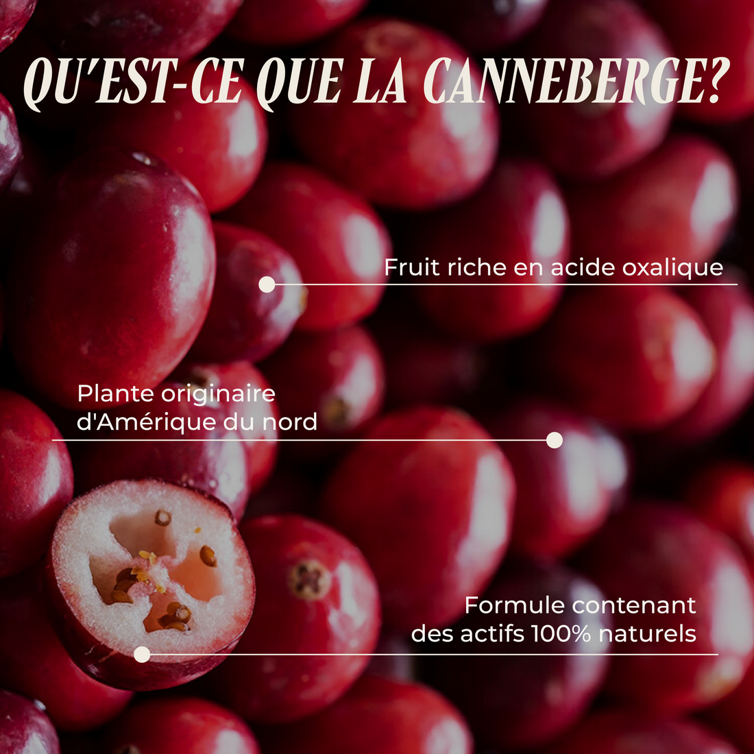 Cranberry ( L&