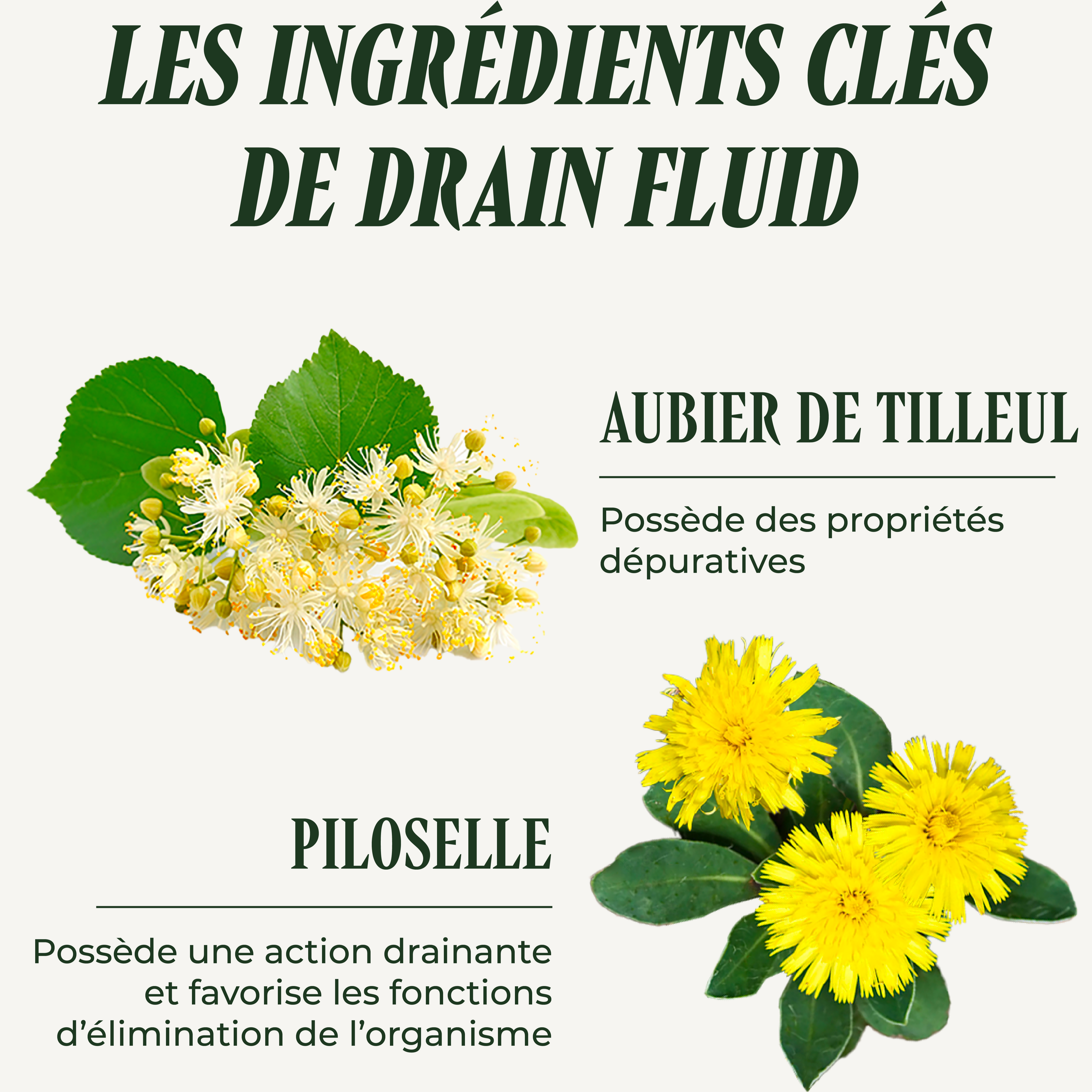 Drain Fluid ( Fluide)