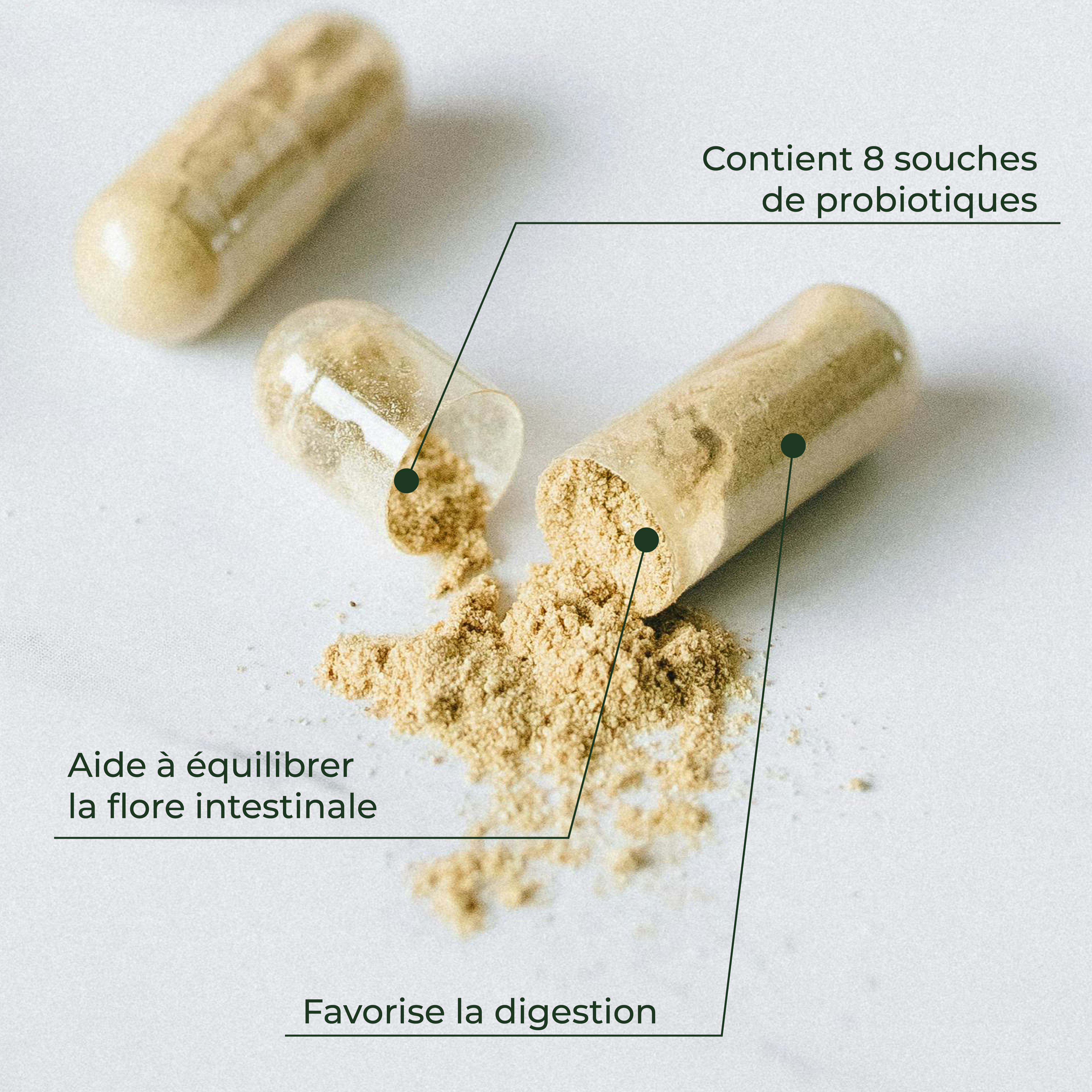 Flore 14 milliards ( Les Probiotiques )