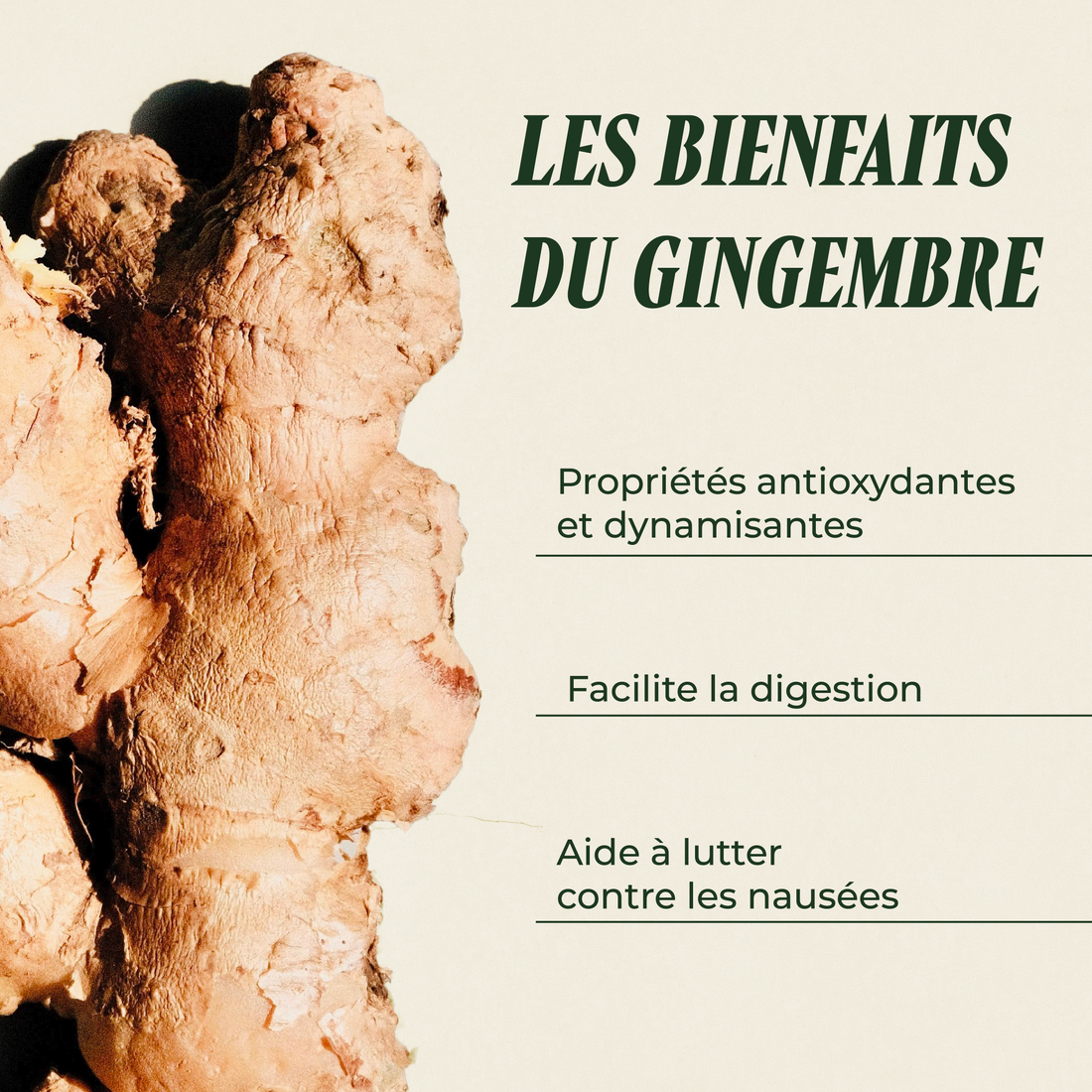 Ginger Force (The energizer &amp;amp; nausea)