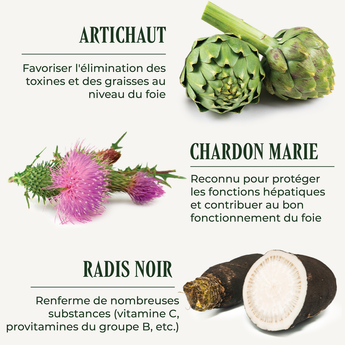 Hepatraite (Detoxification)