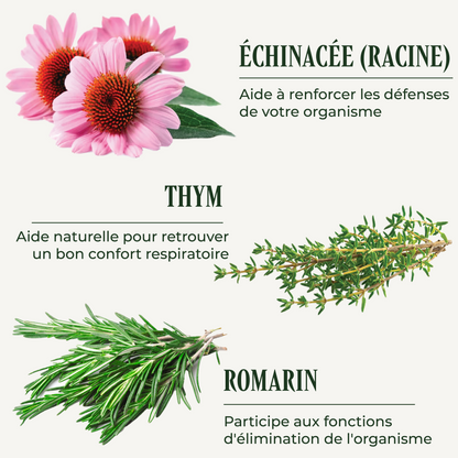 Immunité ( Le complexe phyto-nutritionnel )