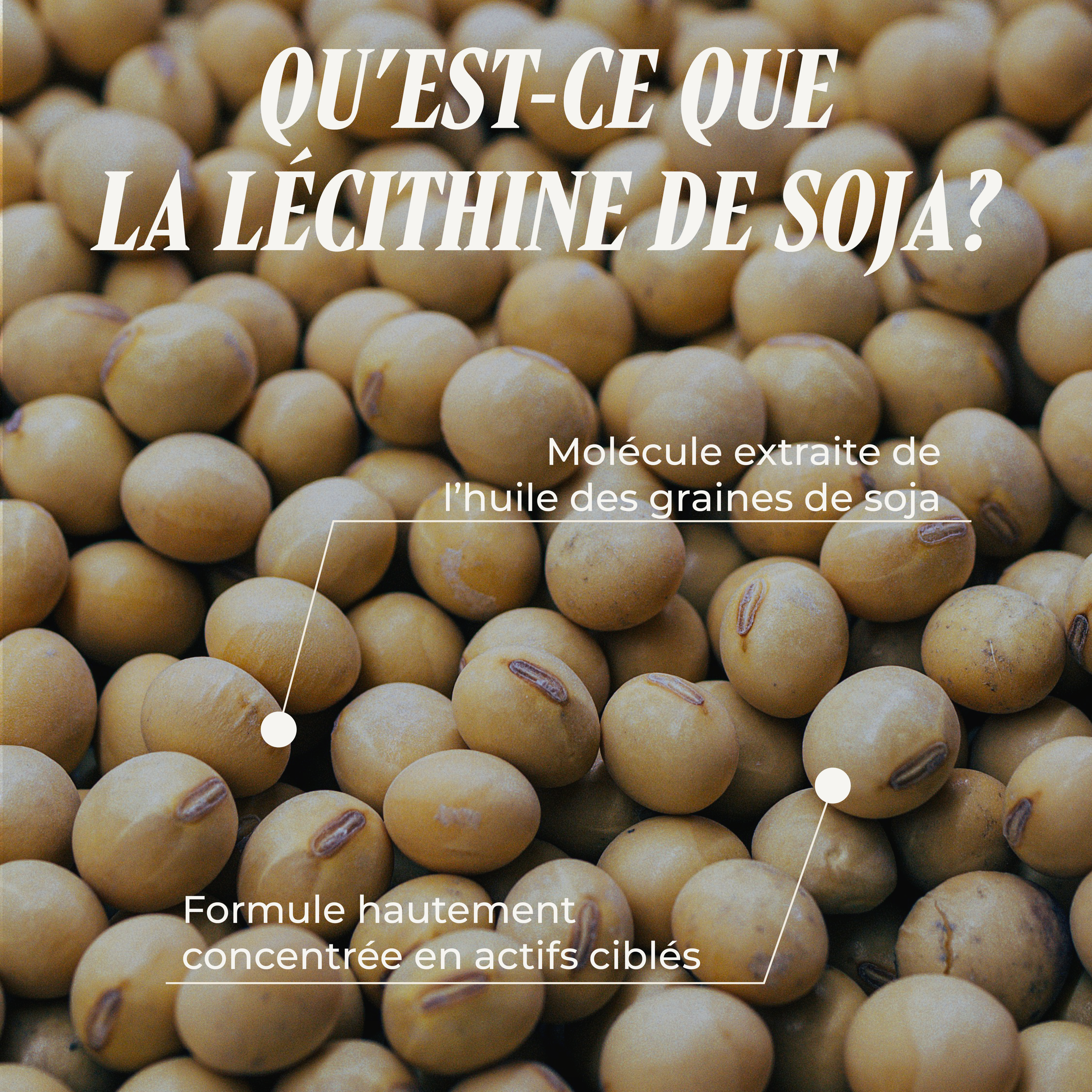 Lécithine de Soja (  Le complexe phyto-nutritionnel )