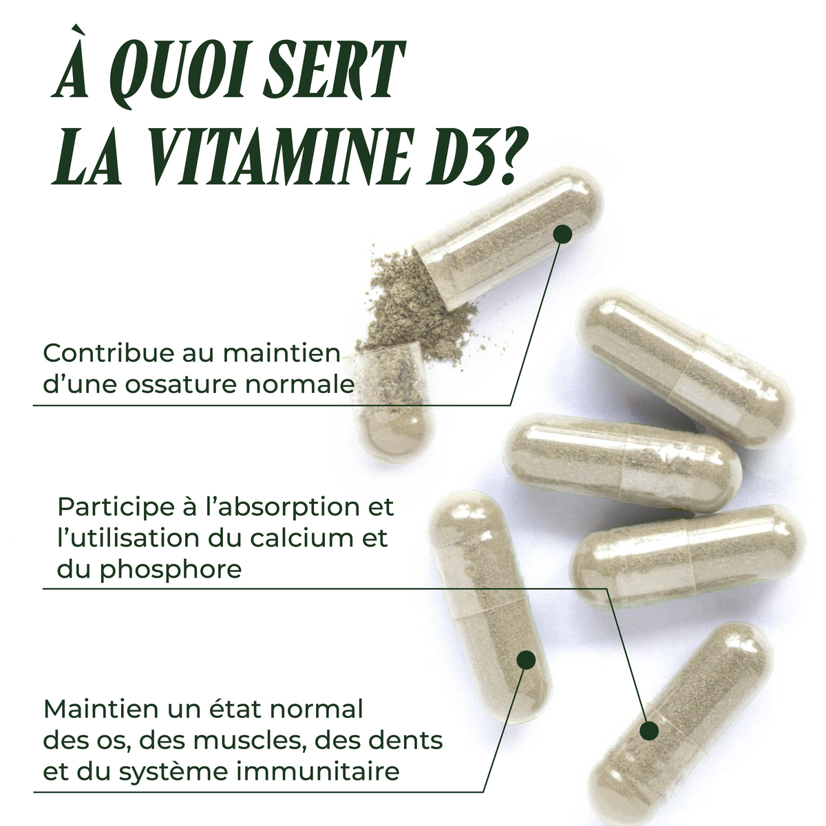 The essential (Vitamin D3 immunity)