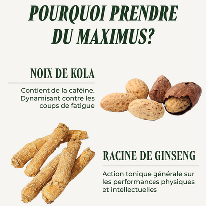 Maximus ( la fatigue, les examens &amp; l’énergie )