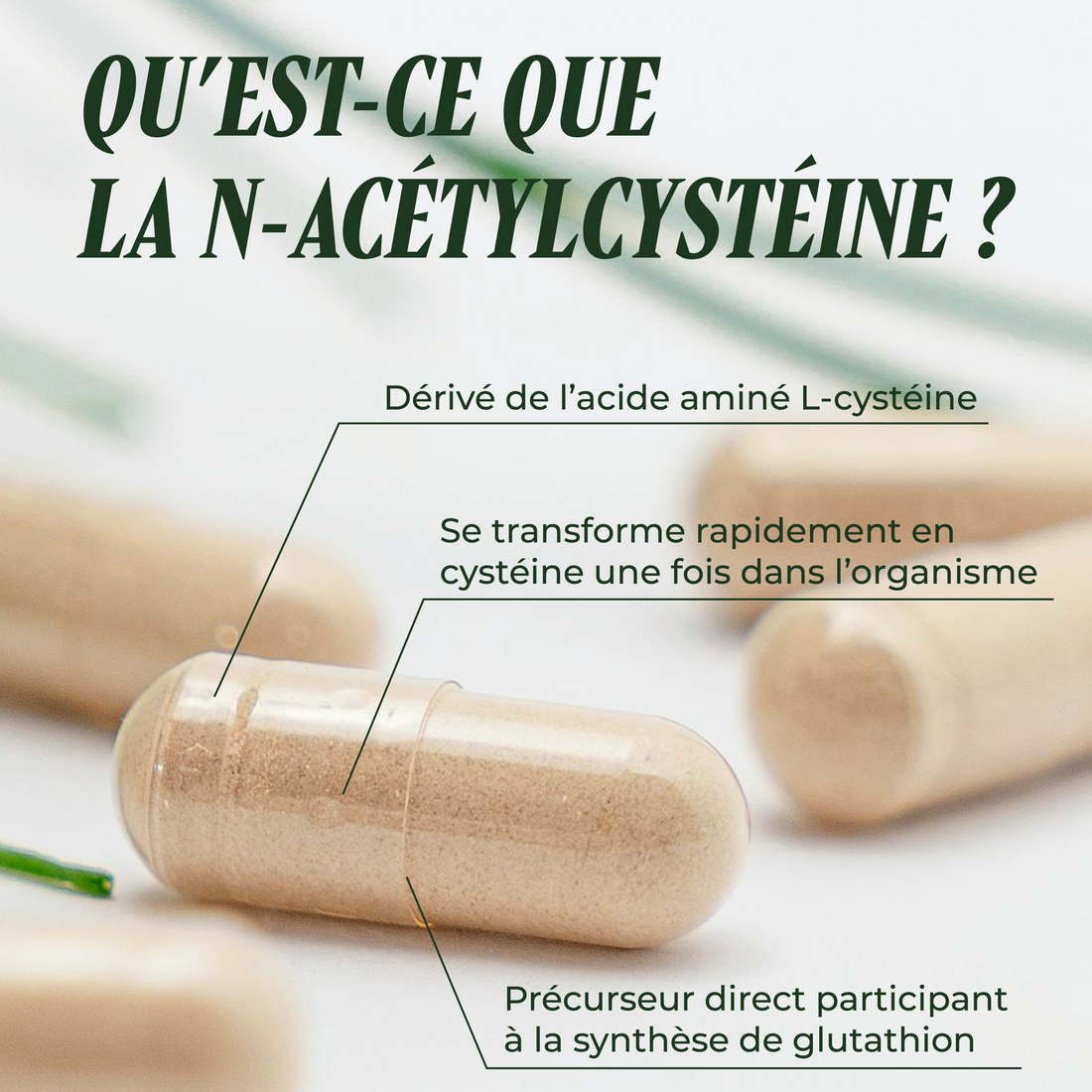 Nac Plus Ultra (N-Acetyl-Cysteine)