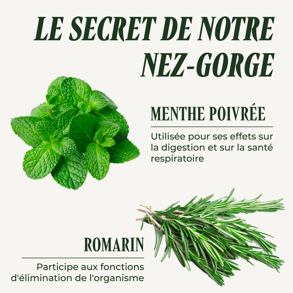 Nez-Gorge
