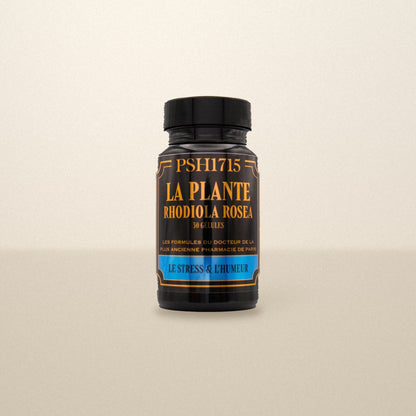 La plante Rhodiola Rosea