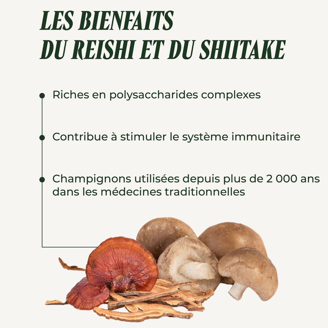 Reishi-Shiitake (Immunity)
