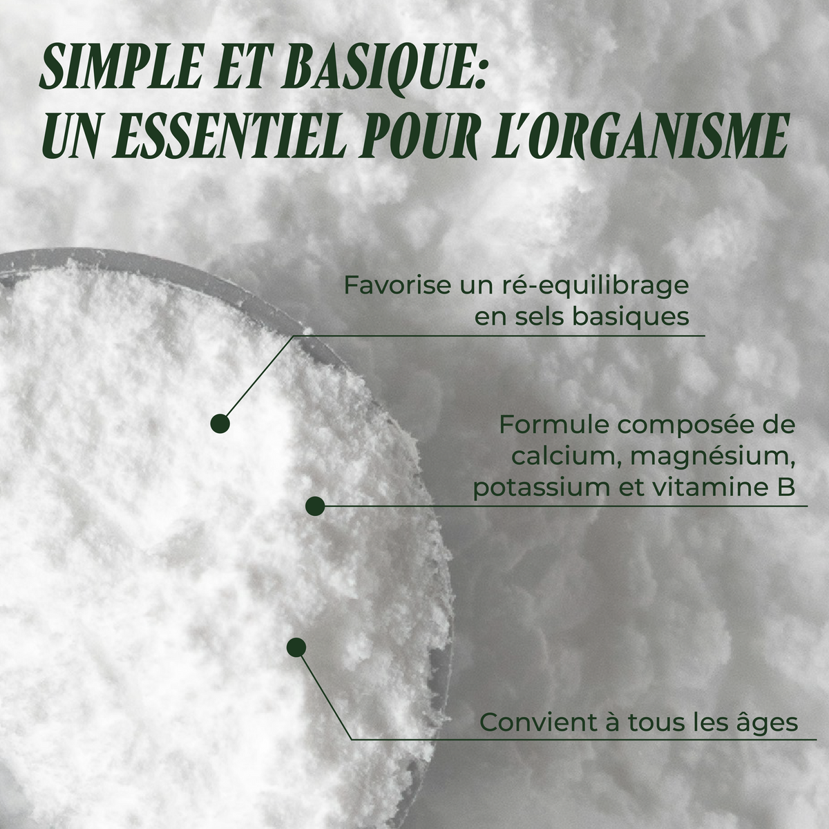 Simple et Basique